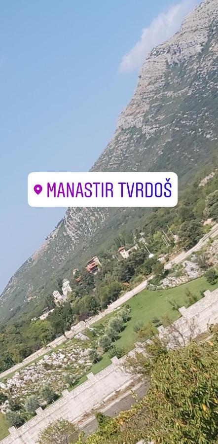 טרביניה Apartments Pravica מראה חיצוני תמונה